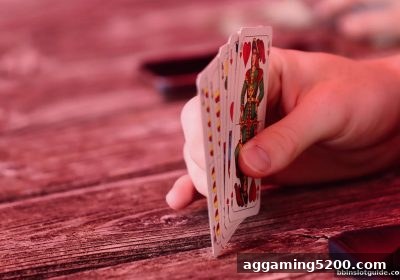 bbin电子：深度解析胜率提升与经验积累的联动机制