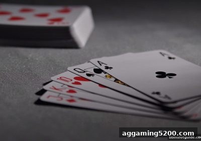 掌握炸金花攻防平衡策略，bbin电子平台返点结算技巧深度解析