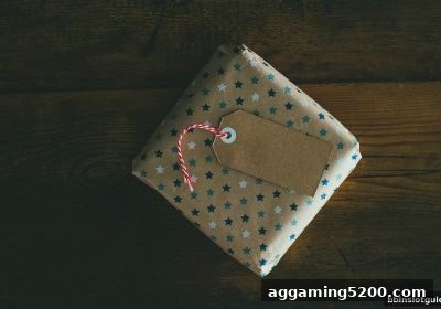 棋牌游戏返水全面解读：bbin电子平台如何让玩家享受更多回馈？